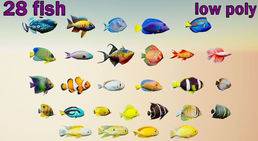 [UE] Tropical Fish