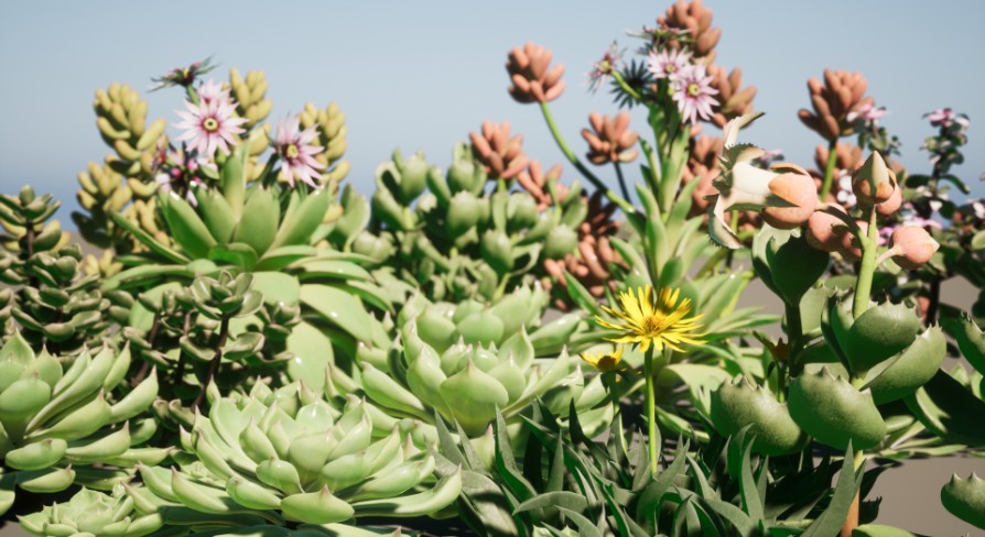 [UE4.26] Succulent plant desert potting