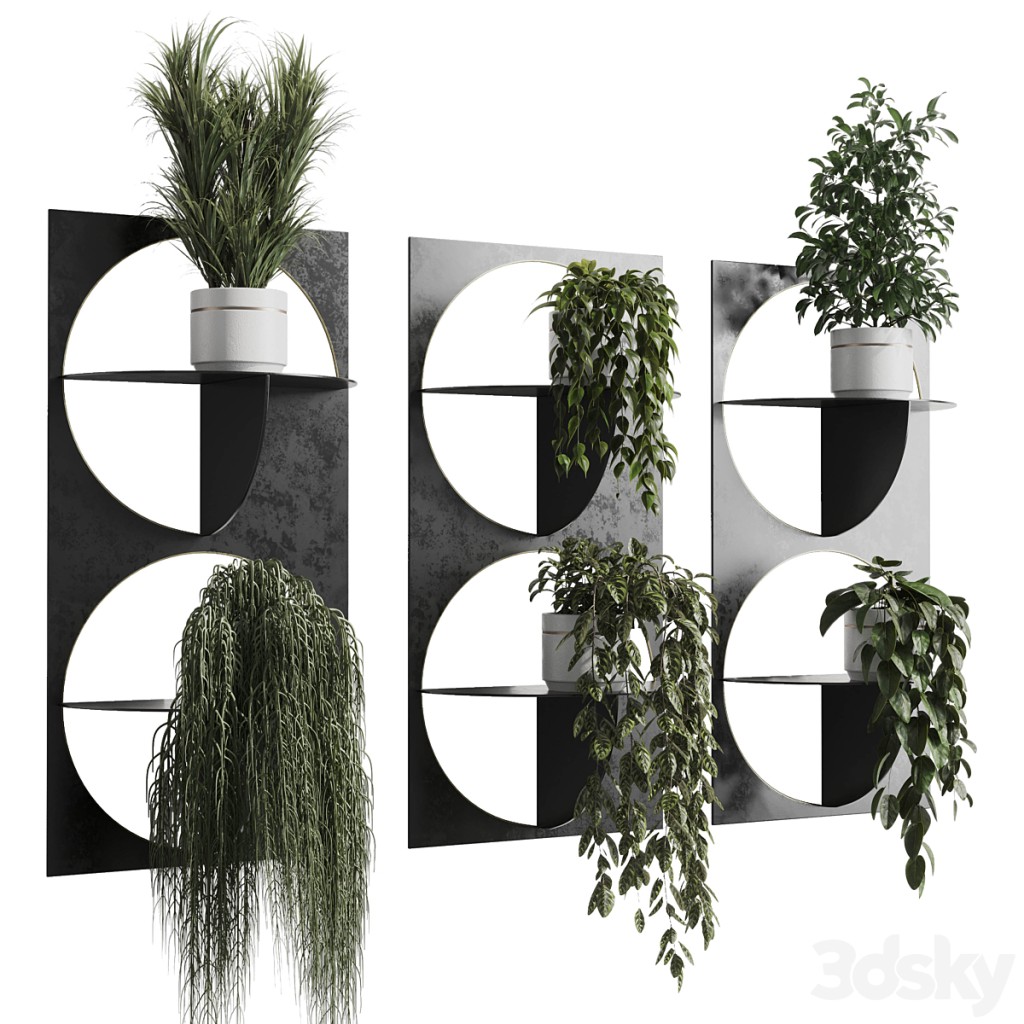 wall plant - set Indoor plant 324 plants in on a shelf