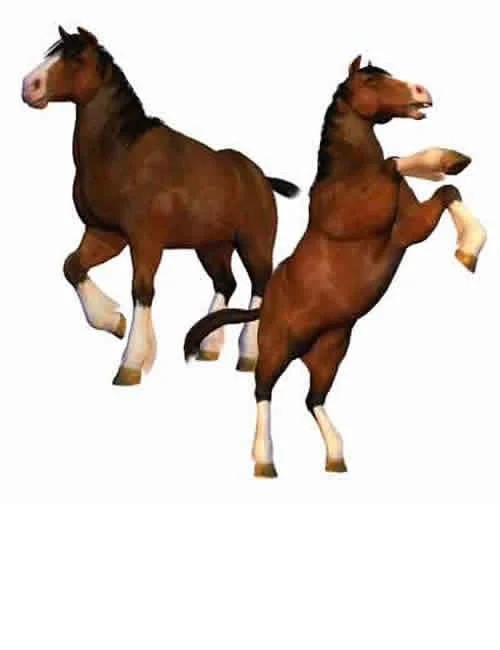 Charger Horse