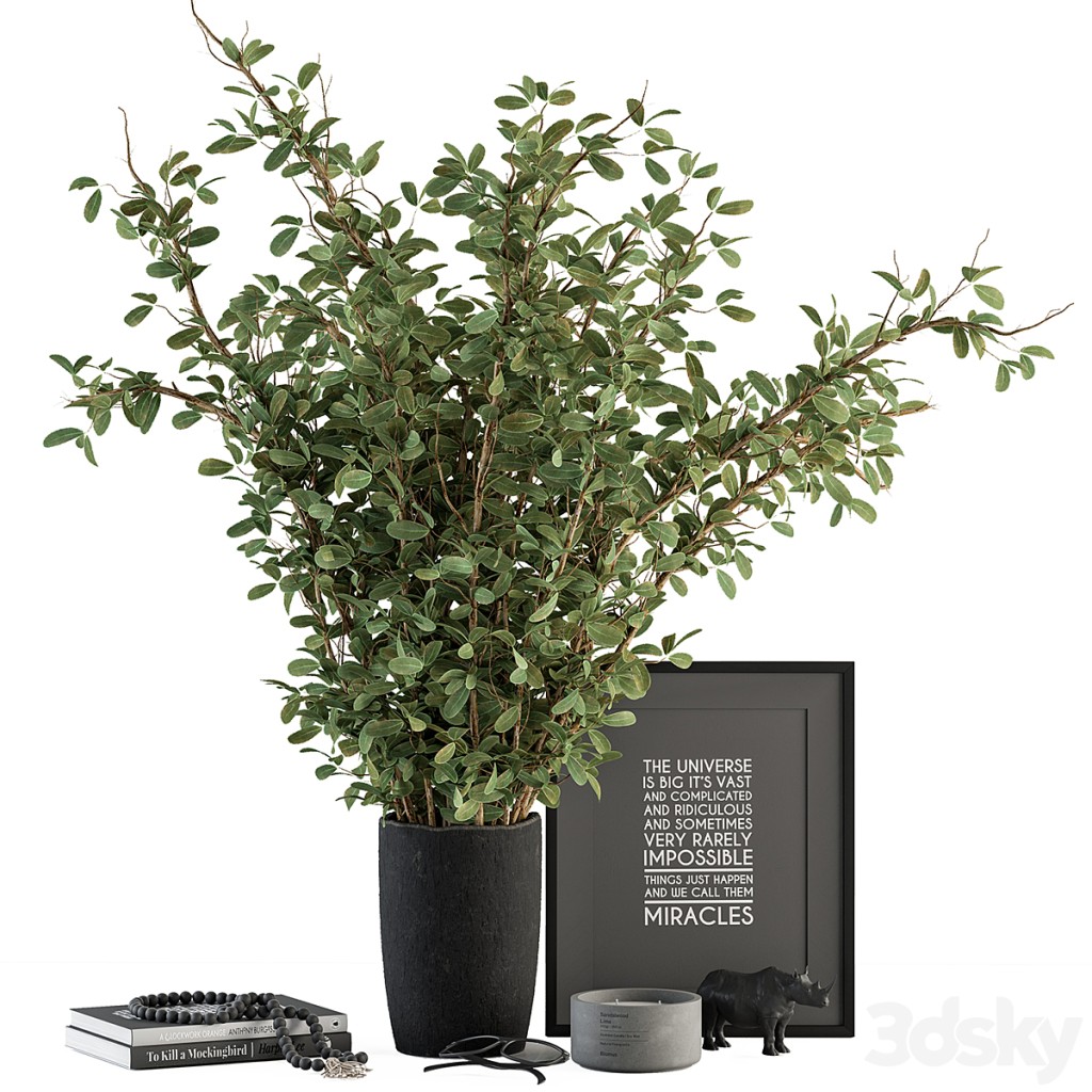 Vase and Plant Decorative Set - Set 119