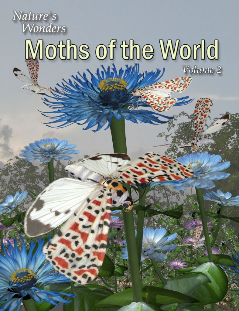 Nature’s Wonders Moths of the World Vol. 2