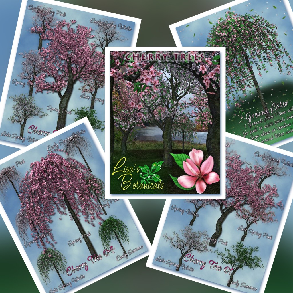 Lisa’s Botanicals Cherry Trees