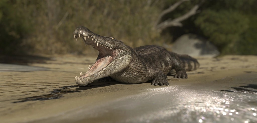 Saltwater Crocodile by AM