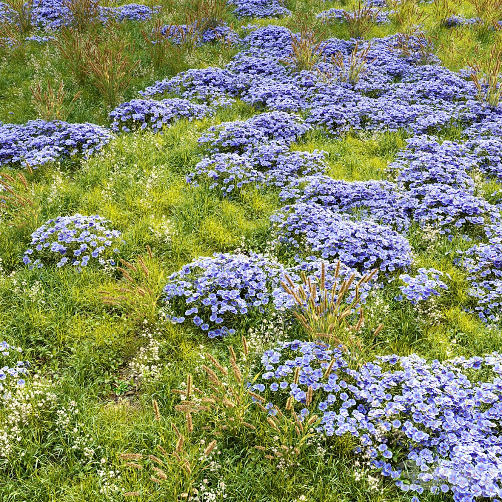 Meadow 4