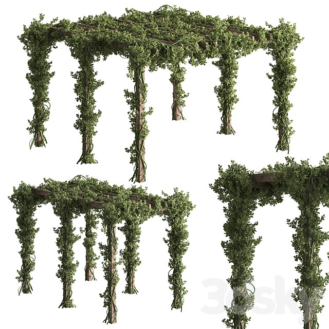 Pergola and Plant - Set 114