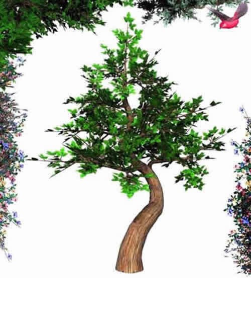 Poseable Bonsai Tree (Rarity)