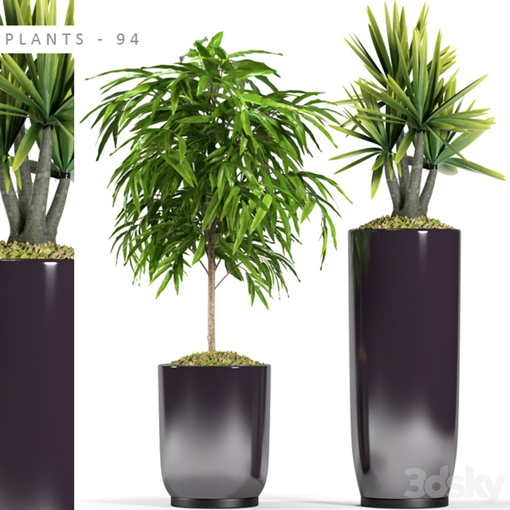 PLANTS 94