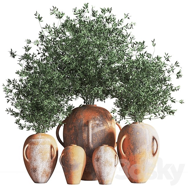 Indoor_Plant_olive_Set_08