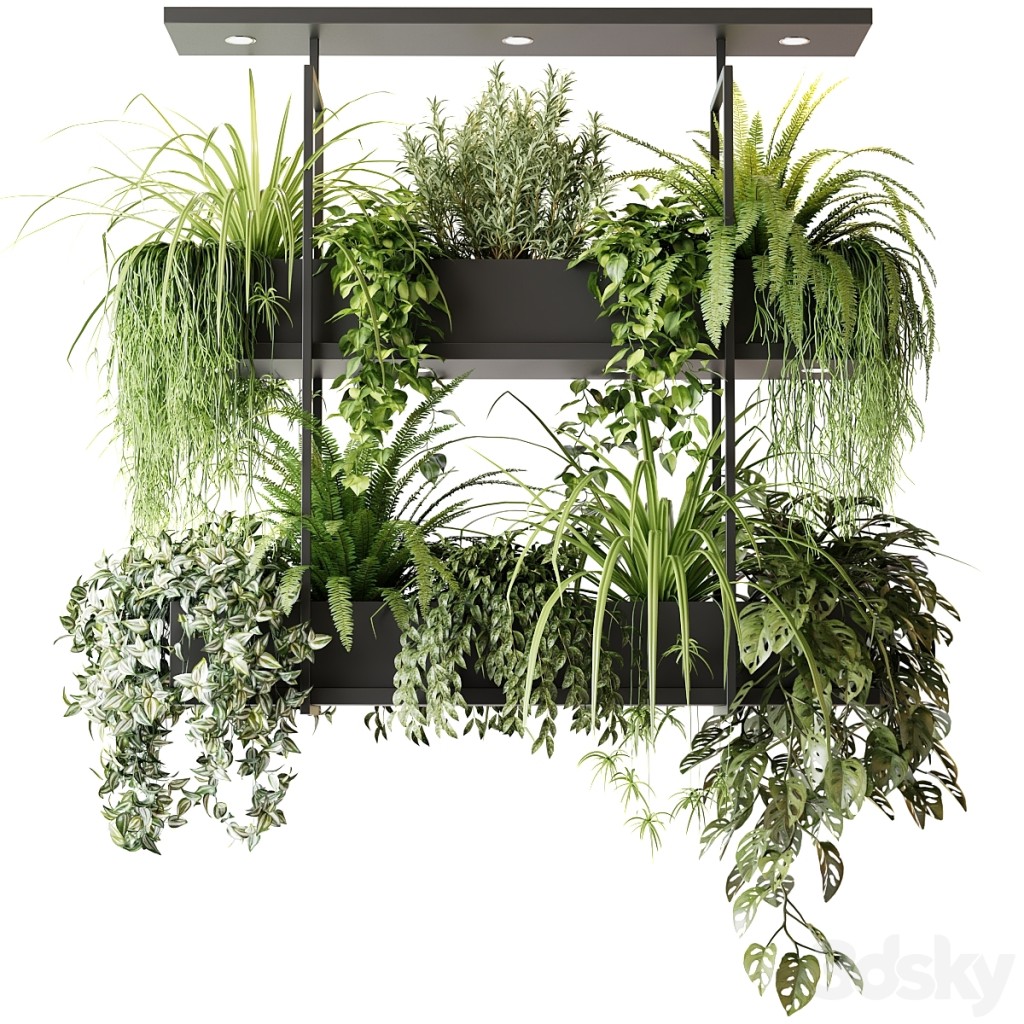 Hanging plants, indoor plant, hanging plants OSLO