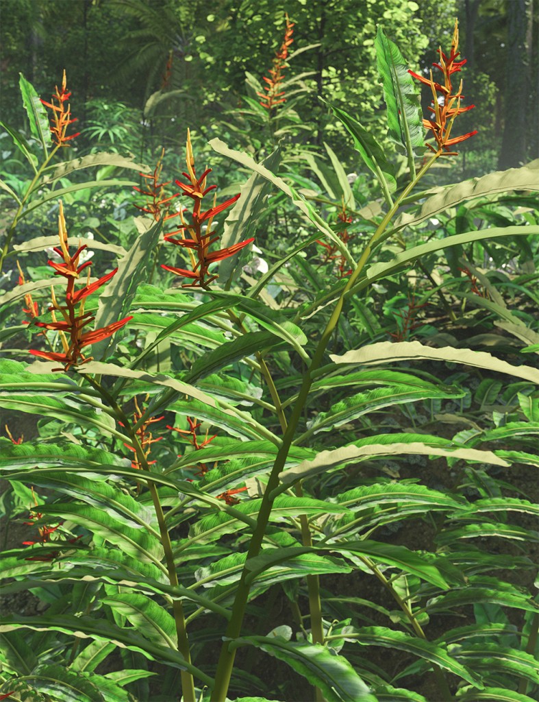 Heliconia longiflora -  Exotic Flowers and Foliage