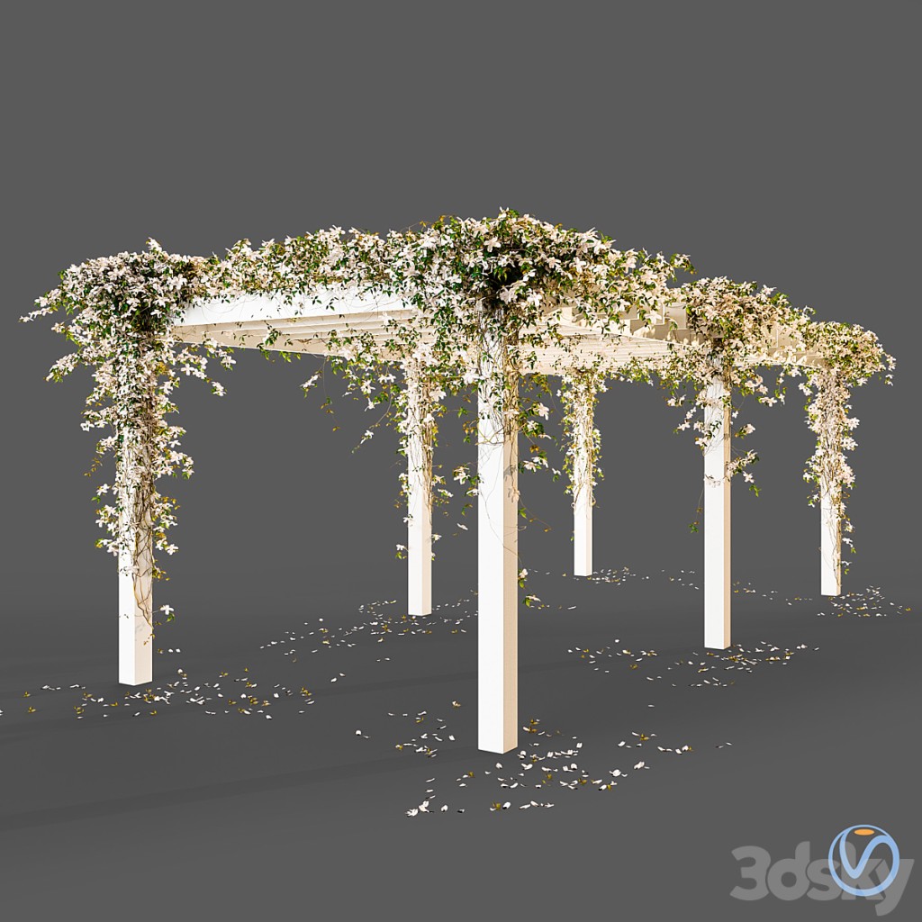 Pergola with flowers