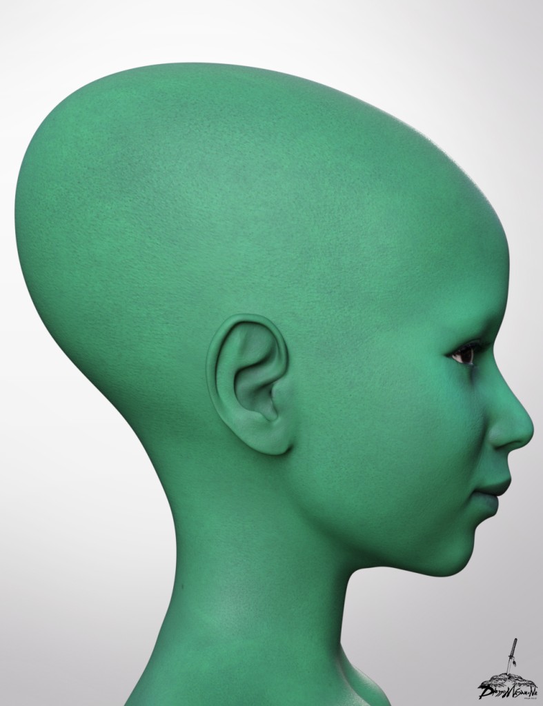Head Morphs for Genesis 9