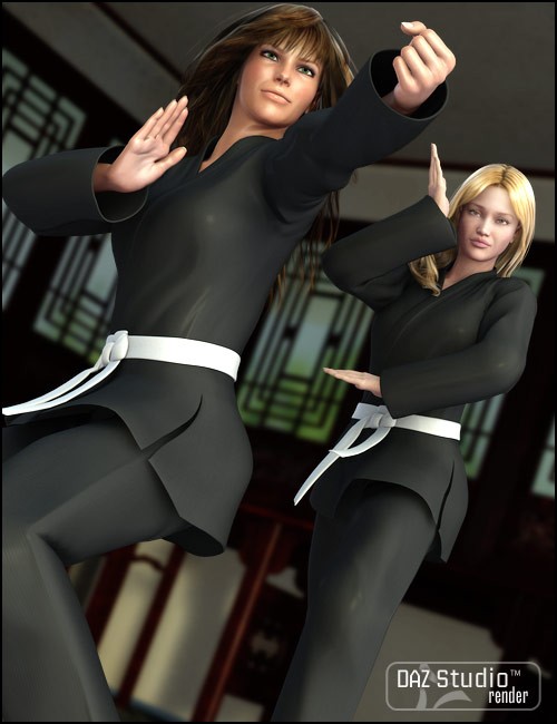 V4 Martial Arts Poses