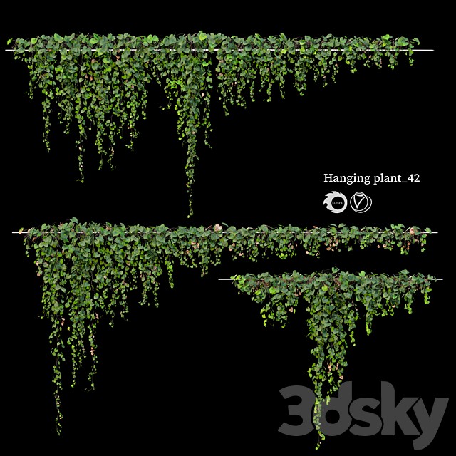 Hanging plant 42