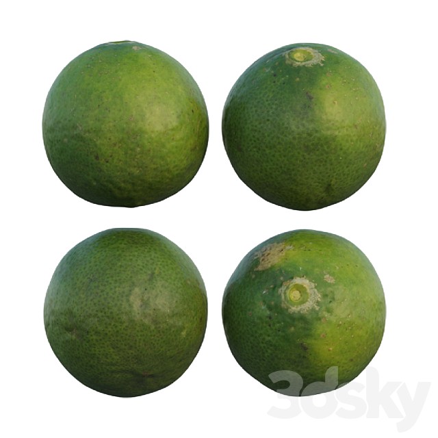 Lime 02