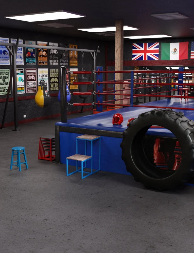 FG Tough Boxing Gym DS
