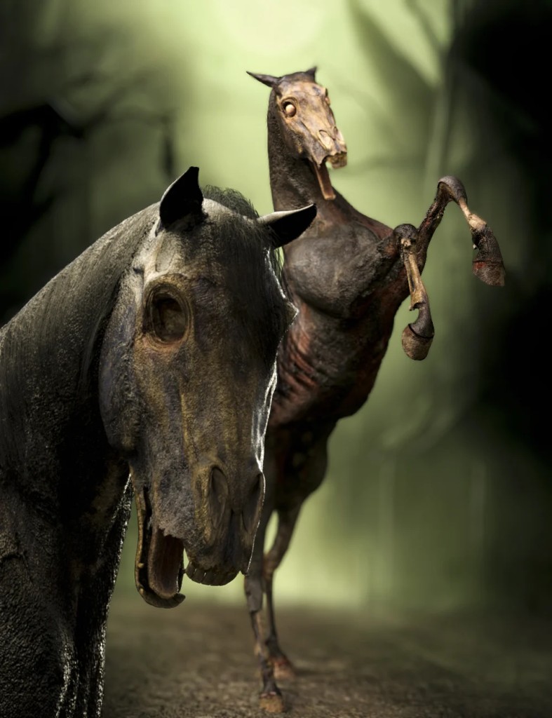 M3D Zombie Horse for Daz Horse 2