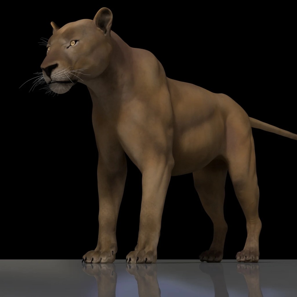Lion Maya Rig
