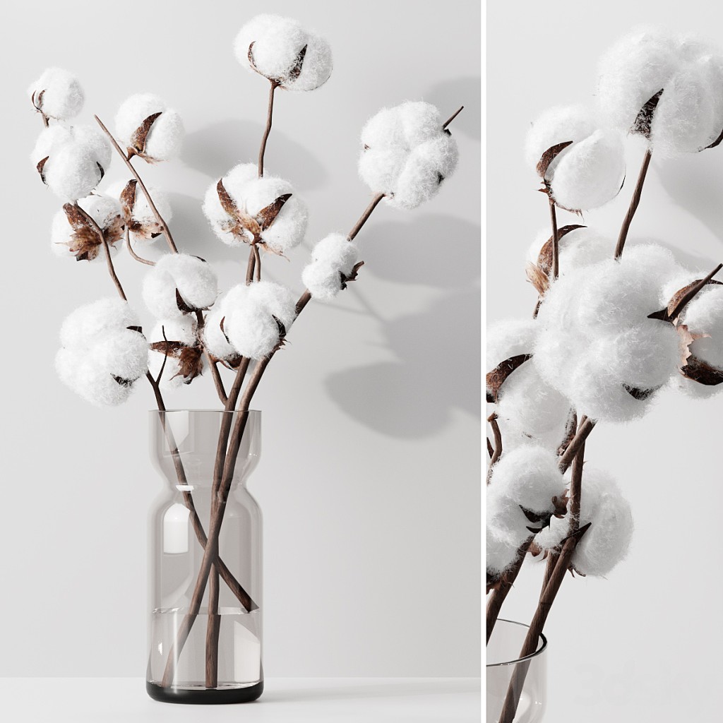 Cotton