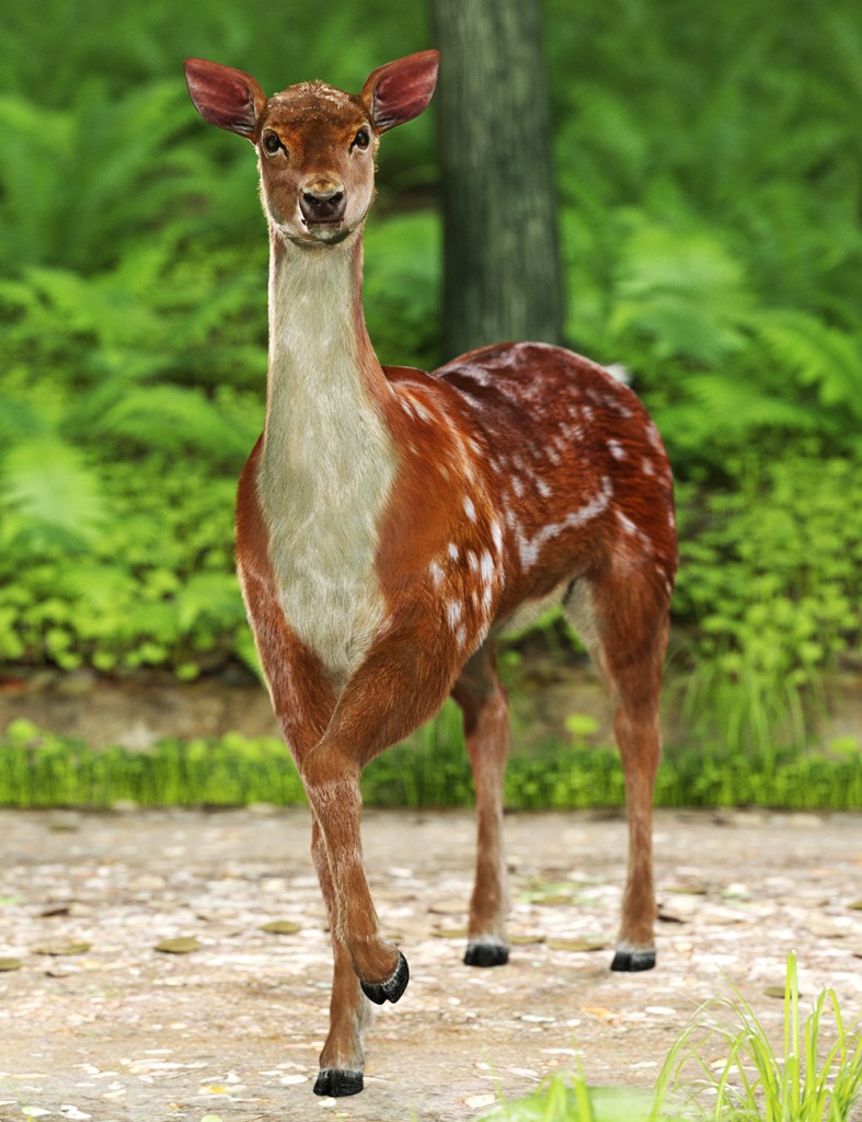 Deer Me Poses for DA Deer