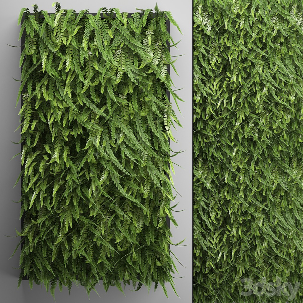 Vertical garden 17. FERN. Fern, phytowall, wall decor, phytomodule, bushes