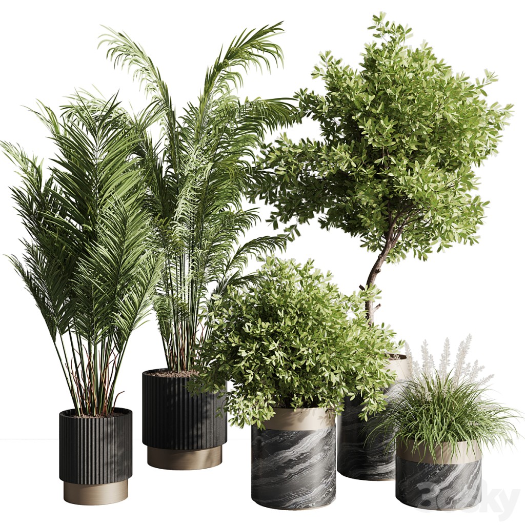 indoor plant set 57