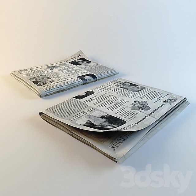 Newspaper