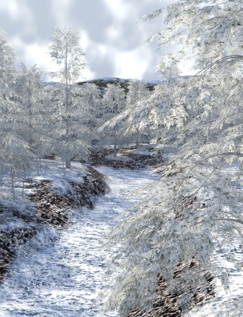 Path Through the Snow
