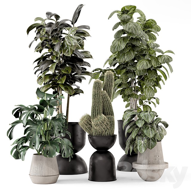 Indoor Plants in Ferm Living Bau Pot Large - Set 2428