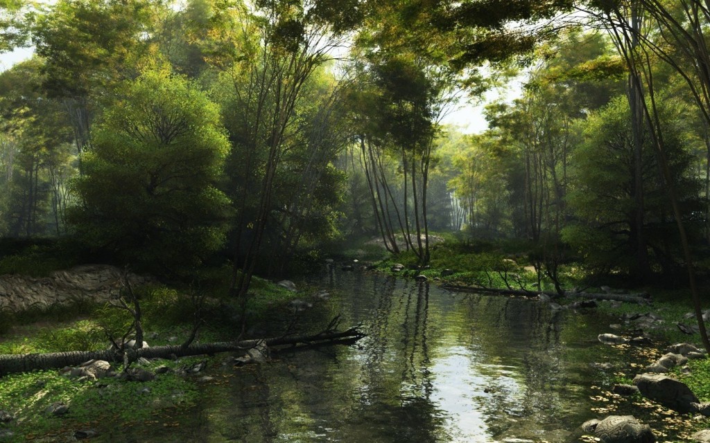 shady brook