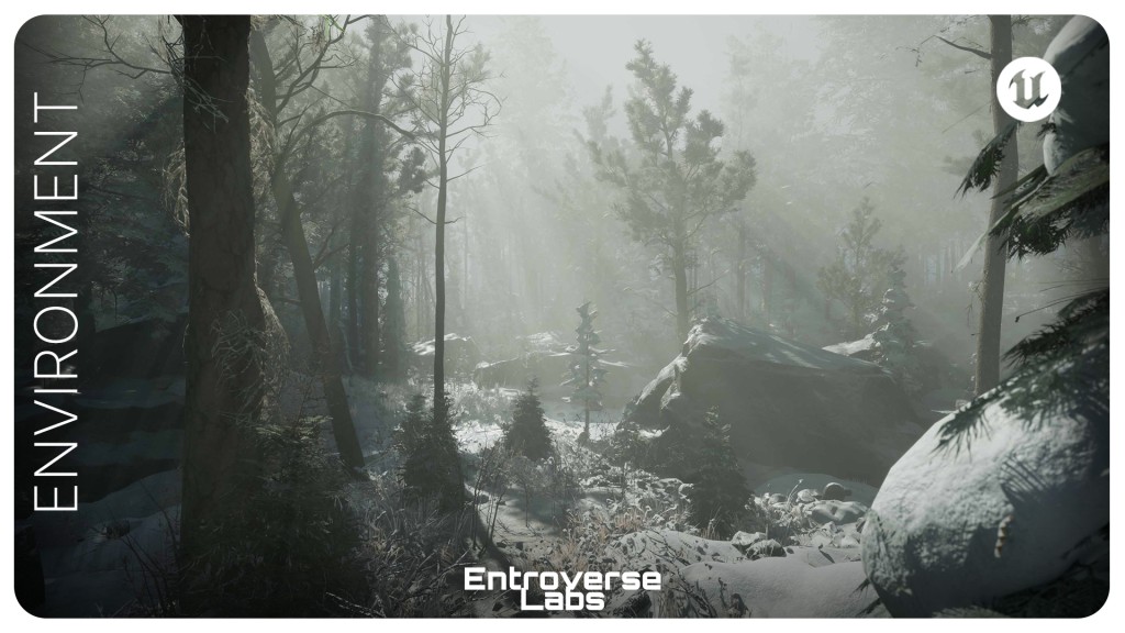Taiga Biome Environment UE5.0