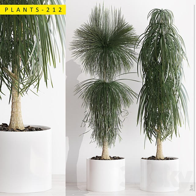PLANTS 212