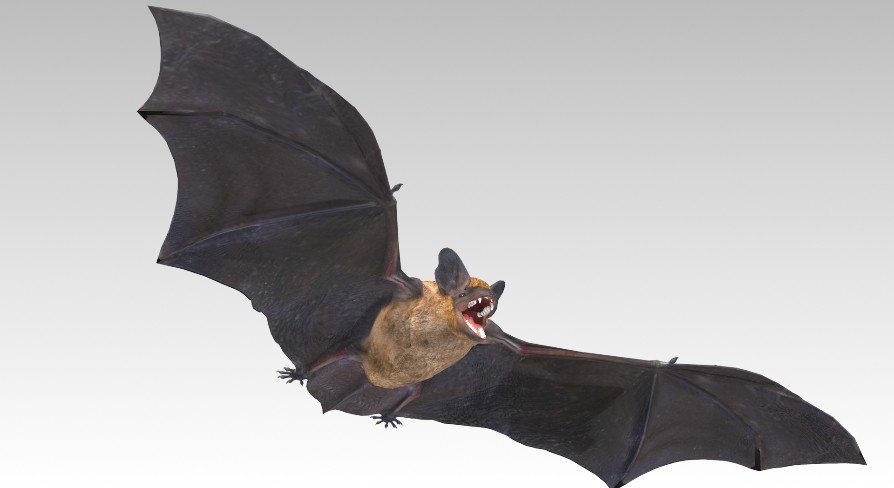 [UE5.3] Common Pipistrelle Bat