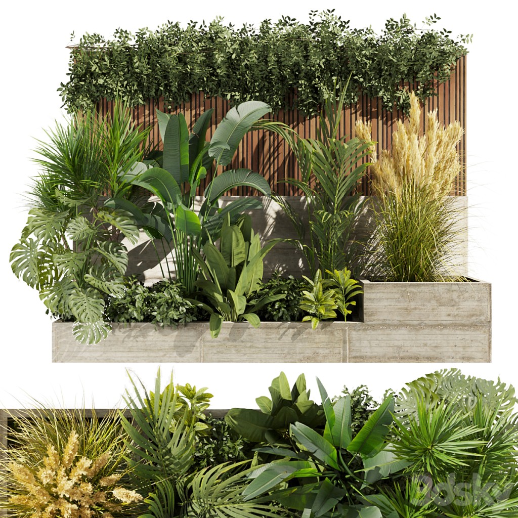 Collection plant vol 467 - garden - grass - leaf - palm