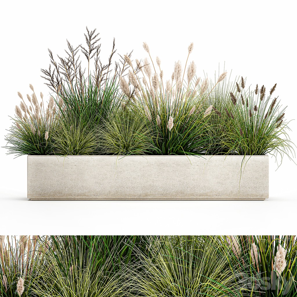 Collection of plants in a pot with pampas grass, reeds, flowerbed, bushes, landscaping. Set 1076.