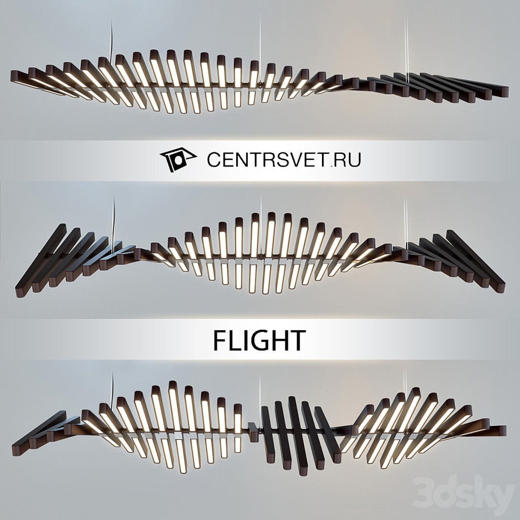 CENTRSVET_FLIGHT
