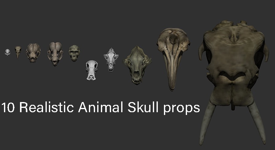 [UE5.2] Animal Skull Pack