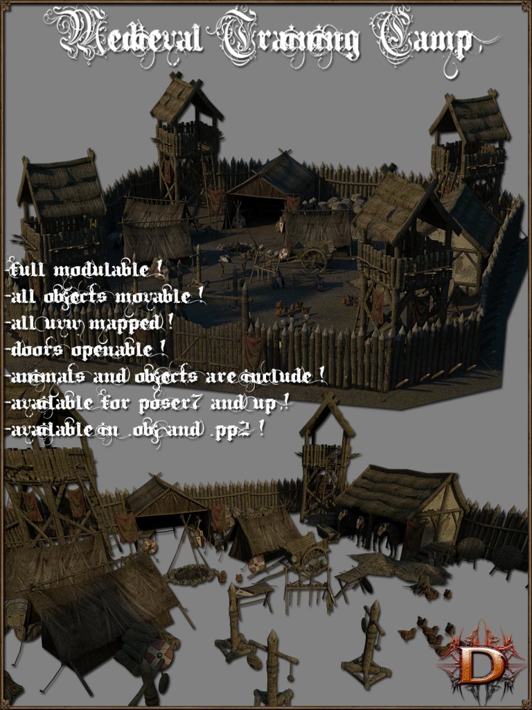 Medieval Training Camp