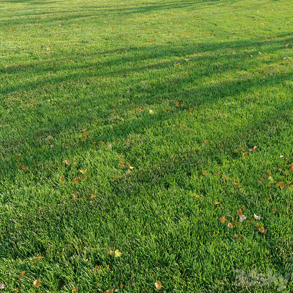 Cut grass