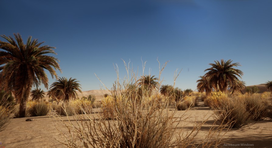 Desert vegetation UE5.0