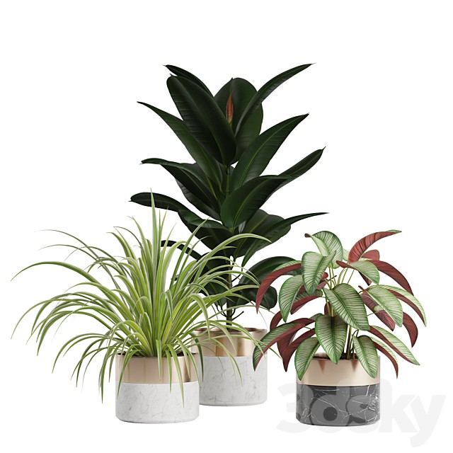 Indoor Plants Pack