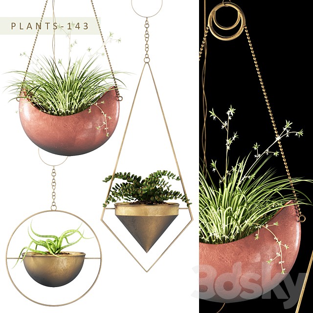 PLANTS 143
