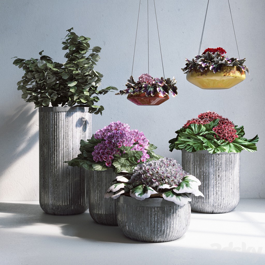 Pottery Barn_Planters