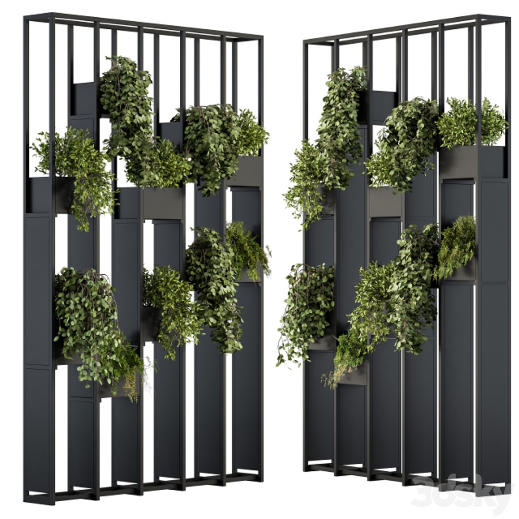 Green Wall - Plants partition 02