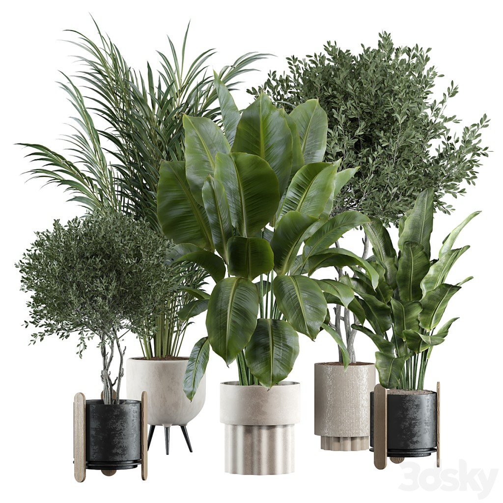 indoor plant 307