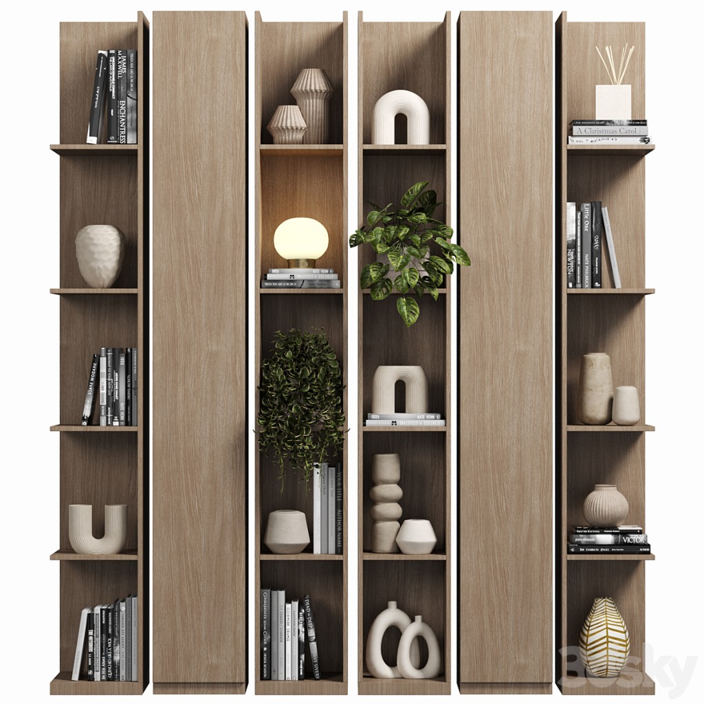 Cabinet with shelves 091