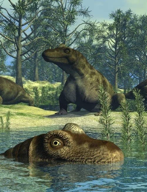 KeratocephalusDR