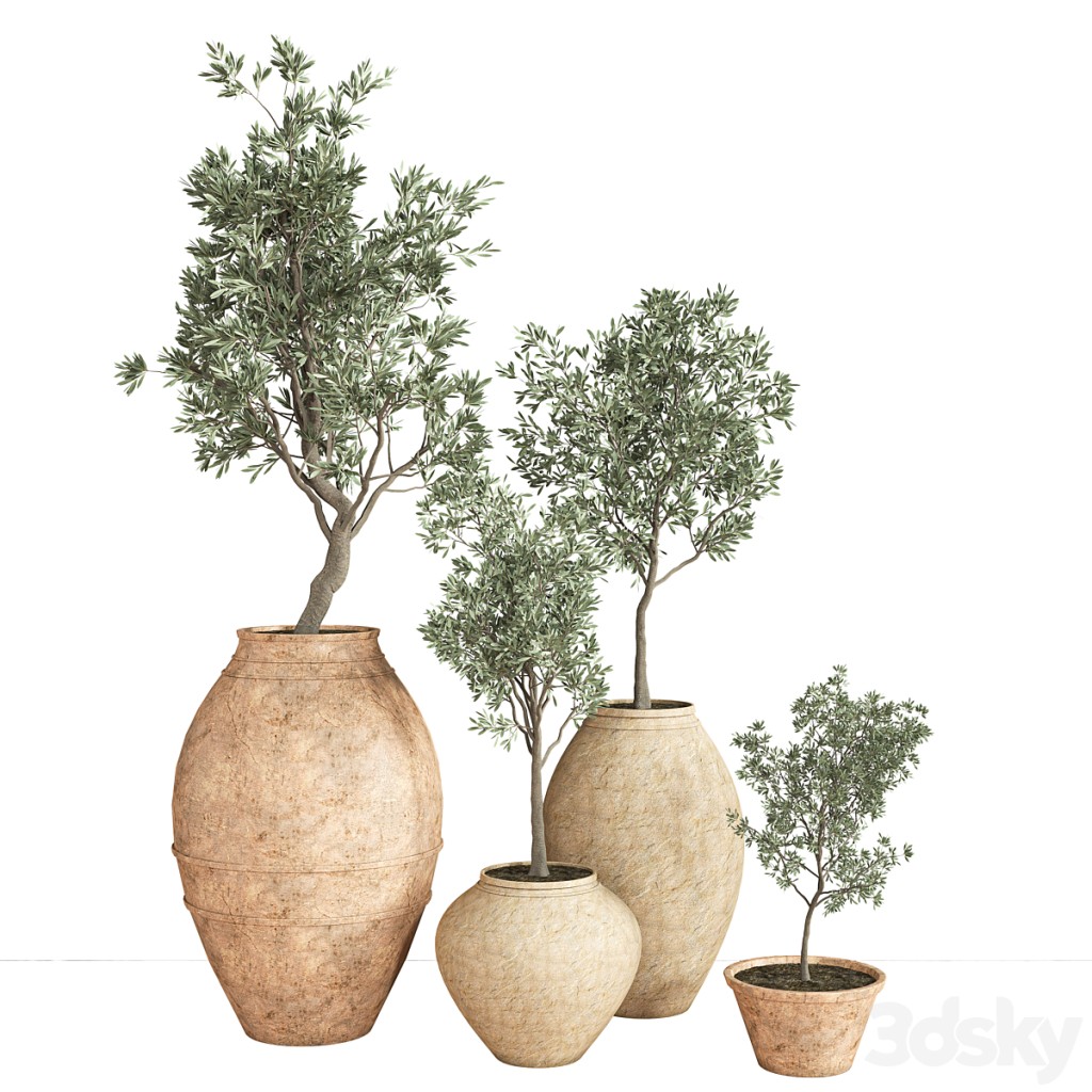 indoor_plant_set_28