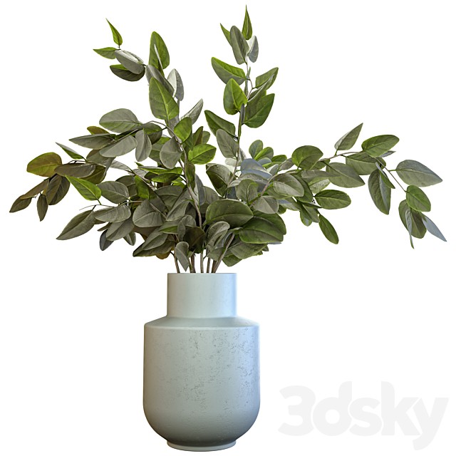 Indoor Plant Set 48